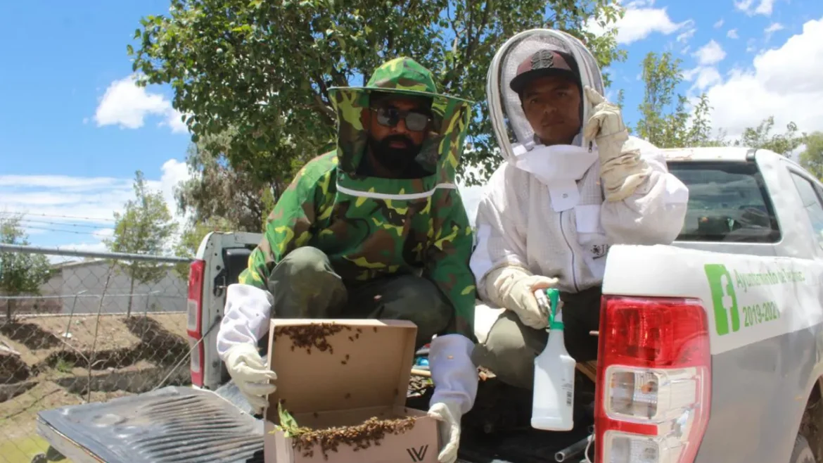 Rescatan en Tecámac 26 Panales de Abejas en lo que va del año