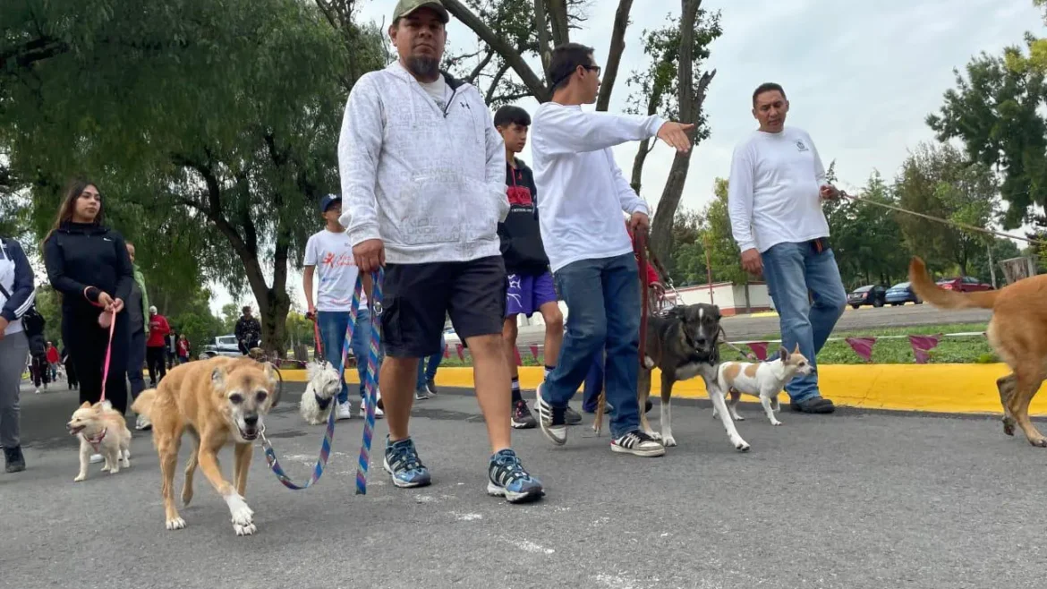 El Bienestar Animal es una prioridad para el Gobierno Municipal de Tecámac