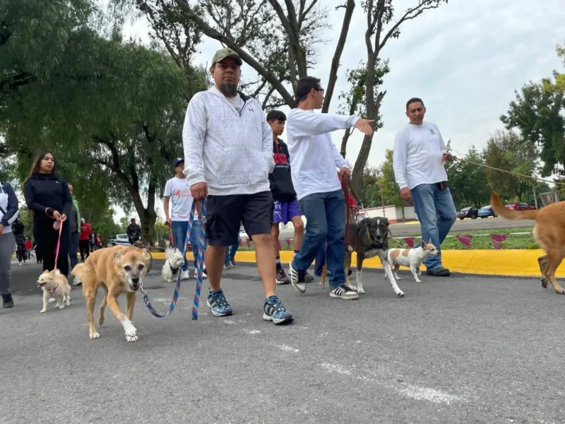 El Bienestar Animal es una prioridad para el Gobierno Municipal de Tecámac