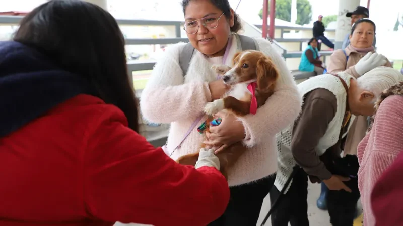 Continuará Gobierno de Tecámac con el Programa de Esterilizaciones de Mascotas