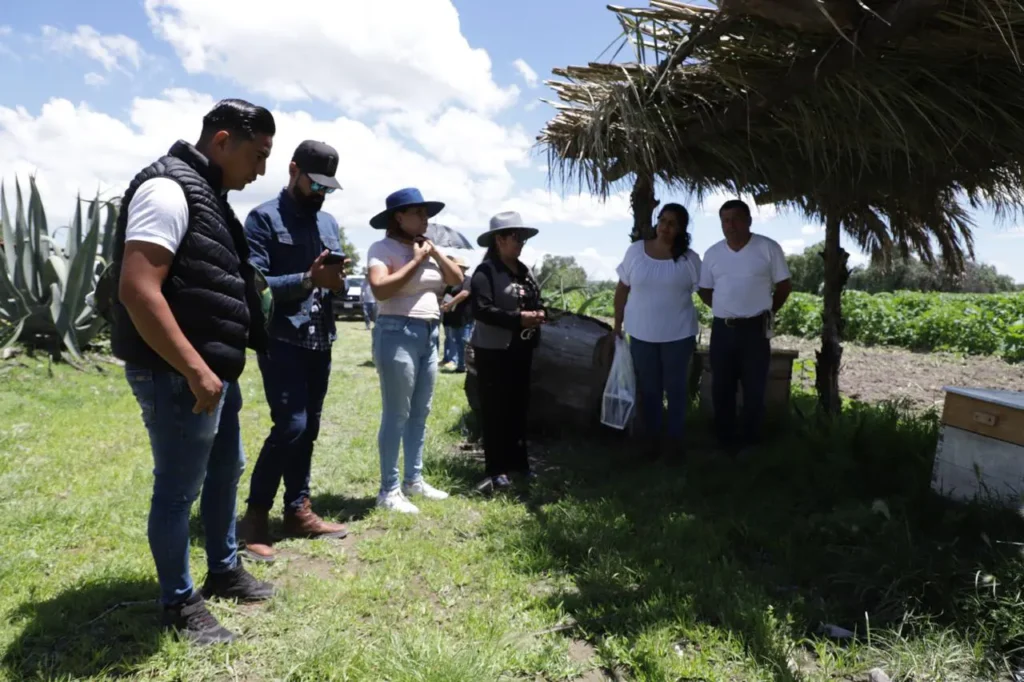 En Tecámac se Implementa Programa de Protección de las Abejas, Especie en Peligro de Extinción