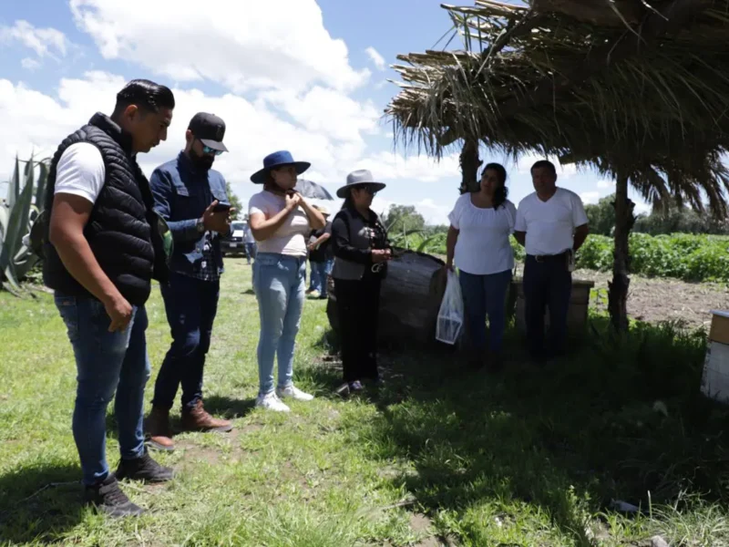 En Tecámac se Implementa Programa de Protección de las Abejas, Especie en Peligro de Extinción