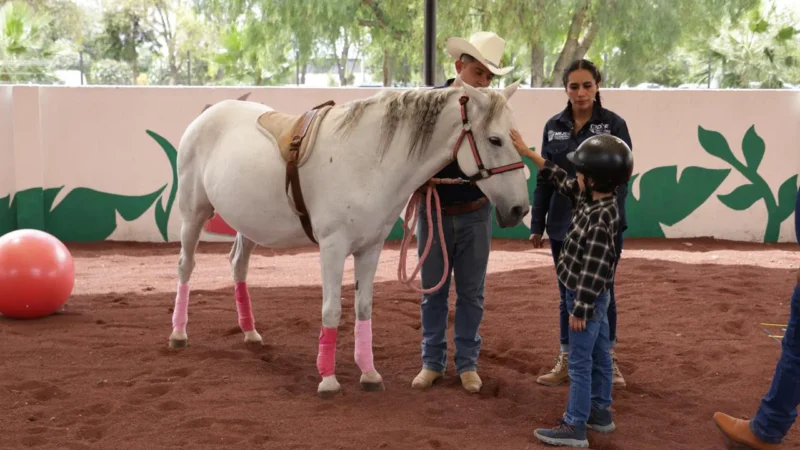 Cuenta DIF de Tecámac con Programa de Equinoterapia