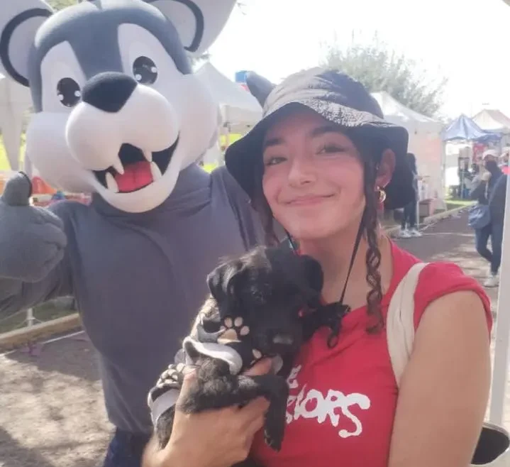 Continúan la Campaña de Adopción Responsable de Perros y Gatos en Tecámac