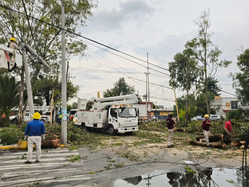 Atienden Cuerpos de Emergencia Caída de árboles en Ojo de Agua; sin lesionados