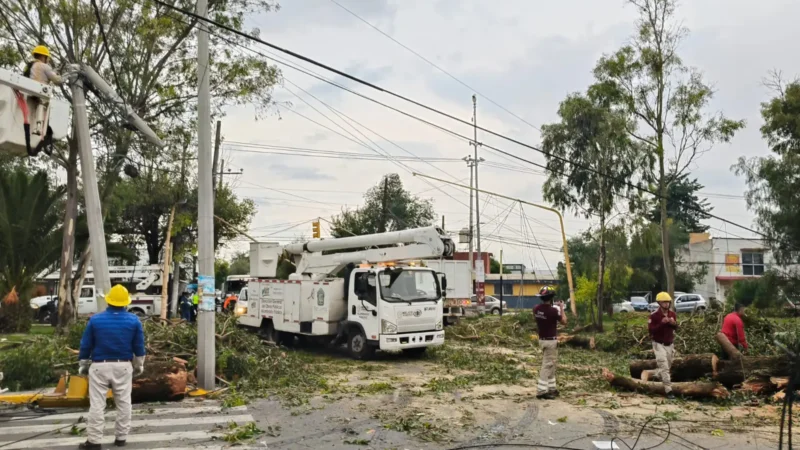 Atienden Cuerpos de Emergencia Caída de árboles en Ojo de Agua; sin lesionados