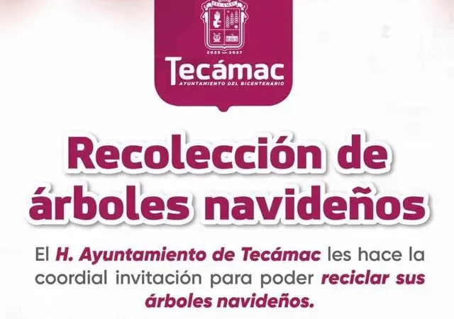 Recoleccion de arboles de navidad